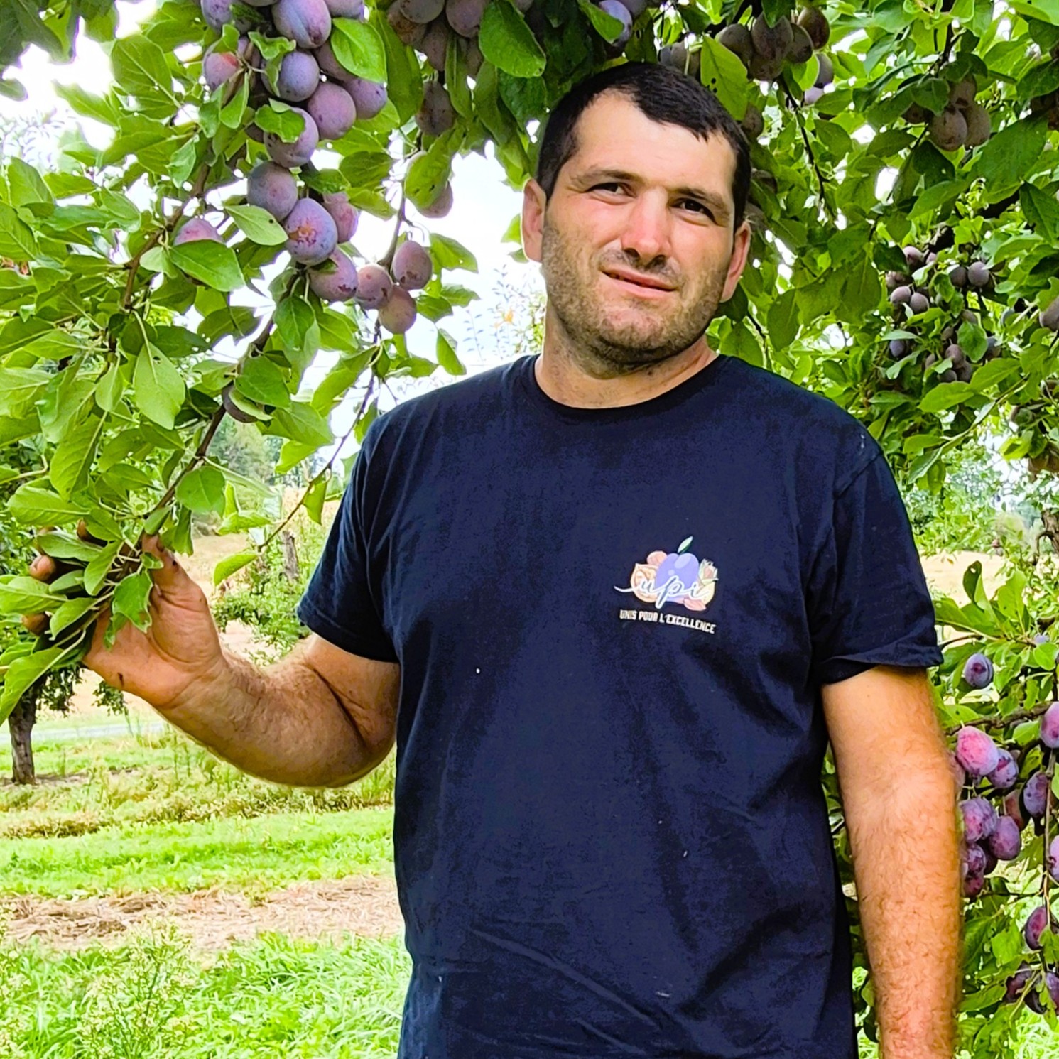 Maxime Tancogne - Lagnolle Fruite